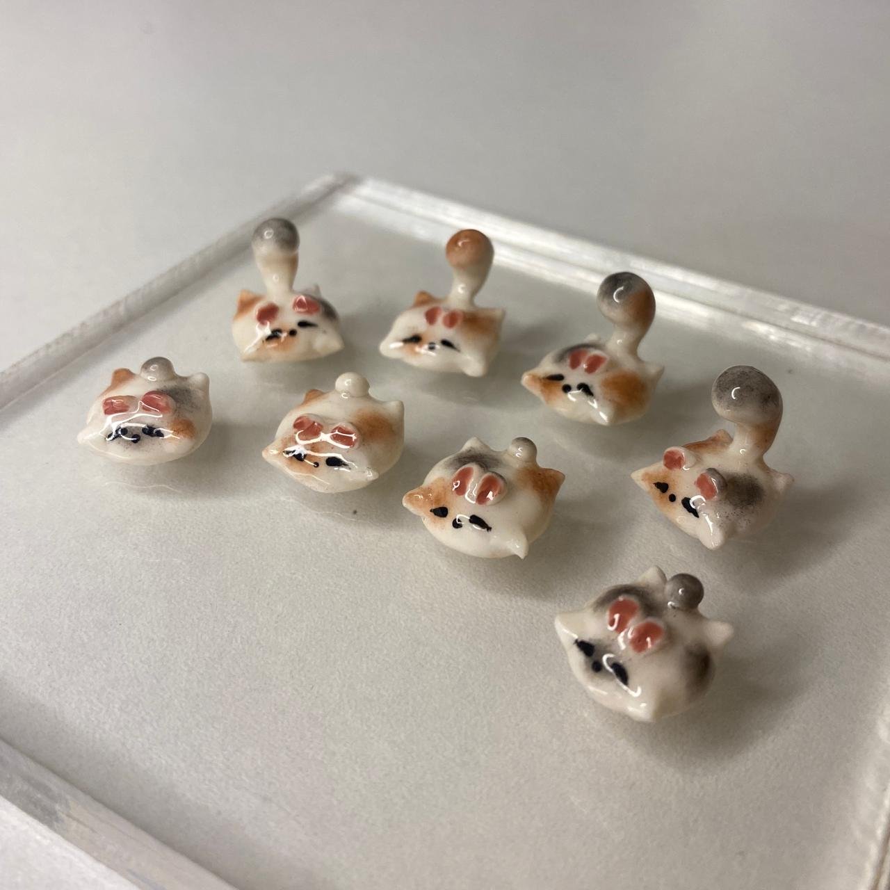 whatsapp image 2025 11 07 at 9.31.04 pm